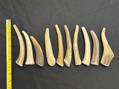 Small Elk Wholes